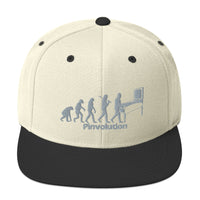 Pinvolution Snapback Hat